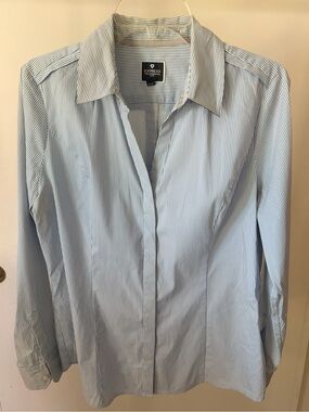 Express Slim Fit Blue & White Pinstripe Dress Shirt
